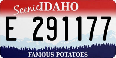 ID license plate E291177