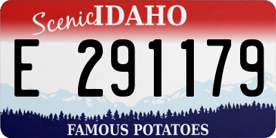 ID license plate E291179