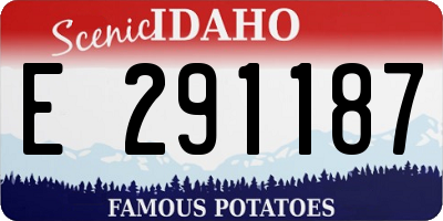 ID license plate E291187