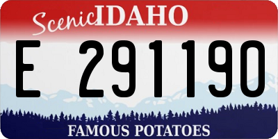 ID license plate E291190