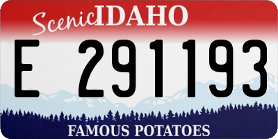 ID license plate E291193