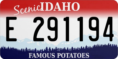 ID license plate E291194