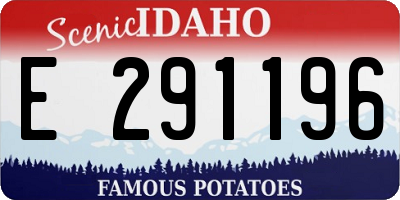 ID license plate E291196