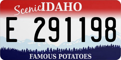 ID license plate E291198
