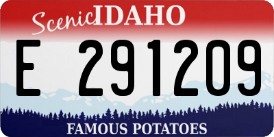 ID license plate E291209