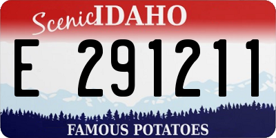 ID license plate E291211