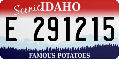 ID license plate E291215