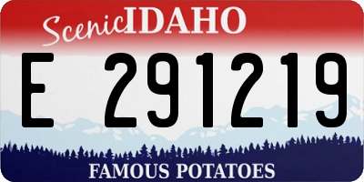 ID license plate E291219
