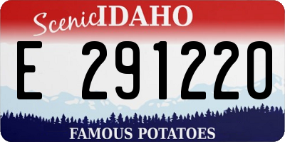 ID license plate E291220