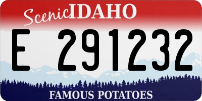 ID license plate E291232