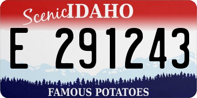 ID license plate E291243