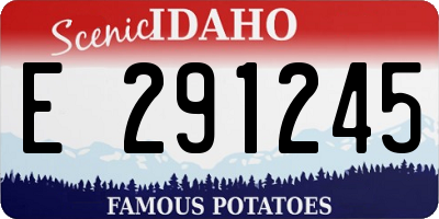 ID license plate E291245