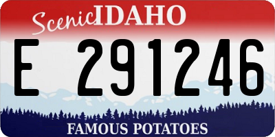 ID license plate E291246