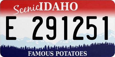 ID license plate E291251