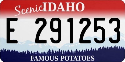 ID license plate E291253