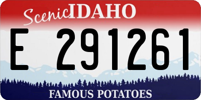 ID license plate E291261