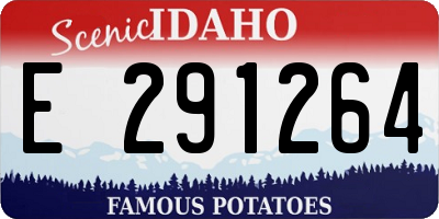 ID license plate E291264