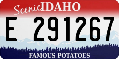 ID license plate E291267
