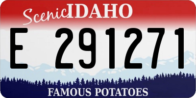 ID license plate E291271