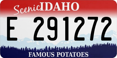 ID license plate E291272