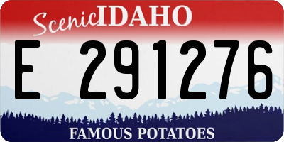 ID license plate E291276