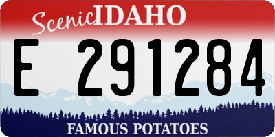 ID license plate E291284