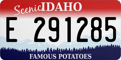 ID license plate E291285