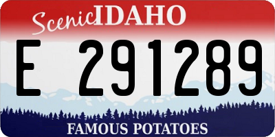ID license plate E291289