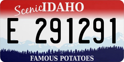 ID license plate E291291