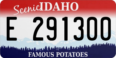 ID license plate E291300