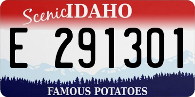 ID license plate E291301