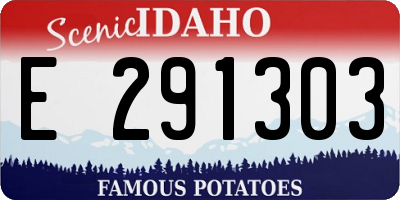 ID license plate E291303