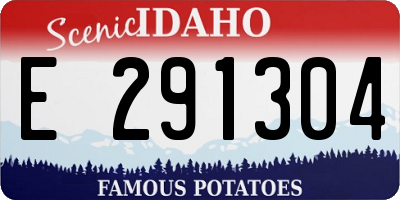 ID license plate E291304