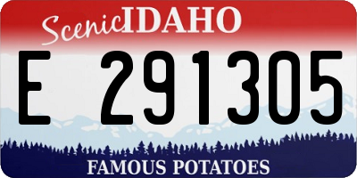 ID license plate E291305