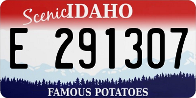ID license plate E291307