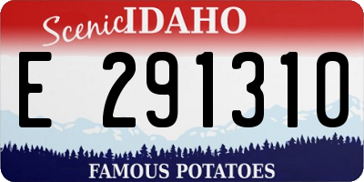 ID license plate E291310