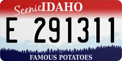 ID license plate E291311