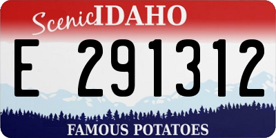 ID license plate E291312