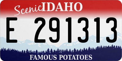 ID license plate E291313