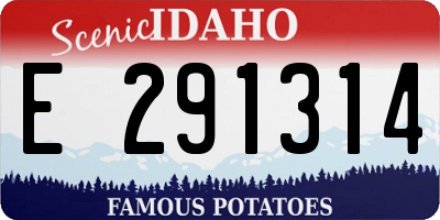ID license plate E291314