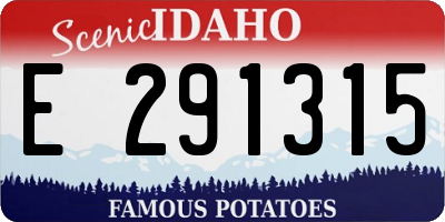 ID license plate E291315