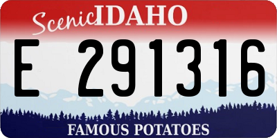 ID license plate E291316
