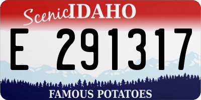ID license plate E291317