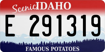 ID license plate E291319