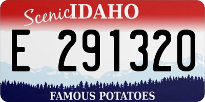 ID license plate E291320