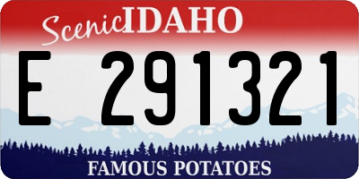 ID license plate E291321
