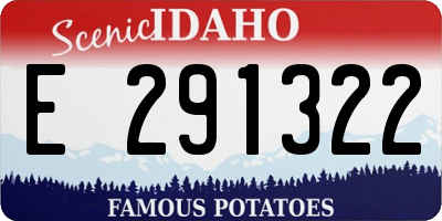 ID license plate E291322