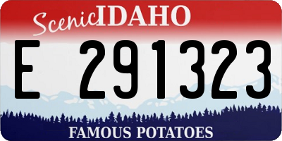 ID license plate E291323
