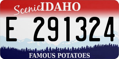 ID license plate E291324