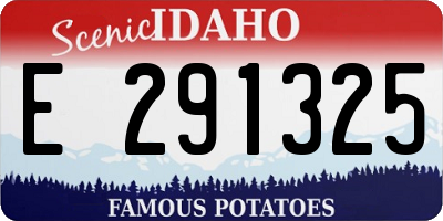 ID license plate E291325